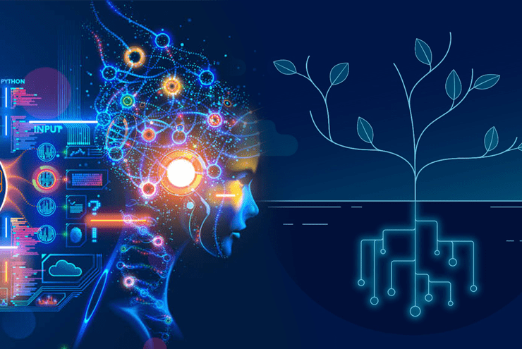 درخت تصمیم در یادگیری ماشین